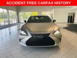 Used 2019 Lexus ES 300h image 2