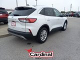 Used 2020 Ford Escape SE image 6