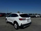 Certified 2022 Ford Escape SE image 3