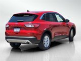 Certified 2022 Ford Escape SE image 4