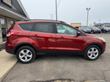 Used 2014 Ford Escape SE w/ Equipment Group 201A image 2