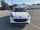 Used 2020 Ford Escape SEL image 2