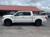 Used 2012 Ford F150 Platinum image 3