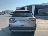 Used 2021 Ford Escape SE image 4