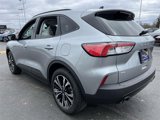 Used 2022 Ford Escape SE w/ SE Sport Appearance Package image 5