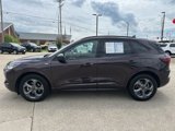 Used 2023 Ford Escape ST-Line w/ Tech Pack #1 image 4