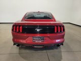 Used 2016 Ford Mustang Premium w/ Ecoboost Performance Package image 5