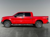 Used 2014 Ford F150 XLT w/ Equipment Group 302A Luxury image 2