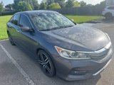 Used 2017 Honda Accord Sport Special Edition image 2