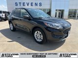 Used 2022 Ford Escape SE w/ Convenience Package image 2