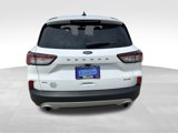 Used 2022 Ford Escape SE w/ Cold Weather Package image 5