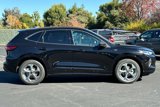New 2024 Ford Escape ST-Line w/ Equipment Group 301A image 3