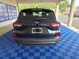 New 2025 Ford Escape ST-Line w/ Cold Weather Package image 5
