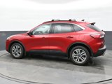 Used 2022 Ford Escape SEL w/ Technology Package image 5