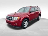 Used 2011 Ford Escape XLT w/ Cargo Pkg image 3