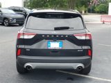 Used 2021 Ford Escape SE image 5