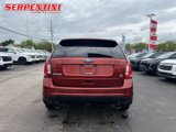 Used 2014 Ford Edge SEL w/ Equipment Group 204A image 5