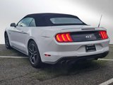 Used 2019 Ford Mustang GT image 3