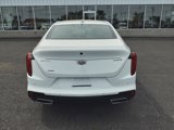 Used 2023 Cadillac CT4 Luxury w/ Sun And Sound Package image 4