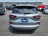 Used 2024 Ford Escape ST-Line image 5
