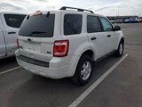 Used 2011 Ford Escape XLT image 4