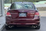Used 2010 Honda Accord EX-L image 5