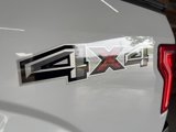 Used 2016 Ford F150 XLT w/ Equipment Group 301A Mid image 3
