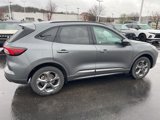 Used 2024 Ford Escape ST-Line image 4