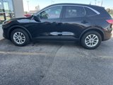 Used 2020 Ford Escape SE image 6