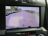Used 2020 Ford F150 XL w/ Equipment Group 101A Mid image 5