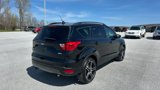 Used 2019 Ford Escape SEL image 5
