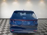 Used 2024 Hyundai Tucson Limited image 4