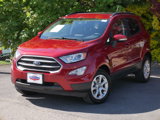Used 2019 Ford EcoSport SE w/ SE Convenience Package image 2