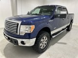 Used 2012 Ford F150 XLT w/ XLT Chrome Pkg image 4