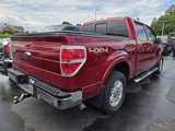 Used 2014 Ford F150 Lariat w/ Equipment Group 502A Luxury image 3