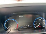Used 2021 Ford Bronco Sport Big Bend image 4