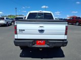 Used 2011 Ford F150 FX4 w/ FX Luxury Pkg image 5
