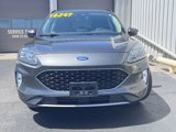 Used 2020 Ford Escape Titanium image 4