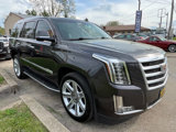 Used 2016 Cadillac Escalade Luxury image 6