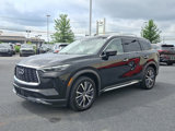 Certified 2022 INFINITI QX60 Sensory image 3