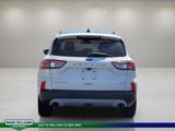 Used 2020 Ford Escape Titanium image 5