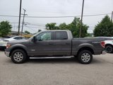 Used 2014 Ford F150 XLT w/ Equipment Group 302A Luxury image 5