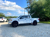 Used 2021 Ford F150 XLT w/ Equipment Group 301A Mid image 2