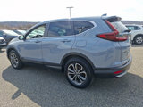 Certified 2022 Honda CR-V EX image 4