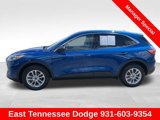 Used 2022 Ford Escape SE image 4