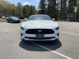 Used 2022 Ford Mustang Premium image 4