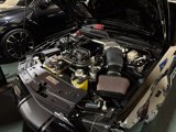 Used 2007 Ford Mustang Shelby GT500 image 5