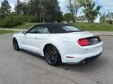 Used 2023 Ford Mustang Premium image 5