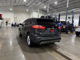 Used 2020 Ford Edge Titanium w/ Cargo Accessory Package image 3