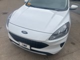 Used 2020 Ford Escape SE image 3
